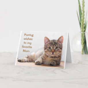 *CHAT COMÉDIQUE* POUR MA CARTE D'ANNIVERSAIRE DE M