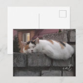 Chat confortable sur une clôture - Carte postale d (Devant / Derrière)