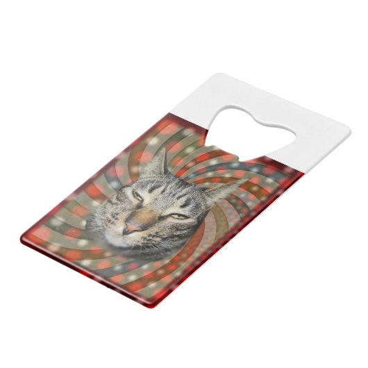 Chat cool - VOUS ACCEPTEZ Votre Cadeau ! (Dos Angle)