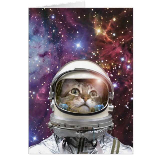 Chat Cosmonaut (Devant)