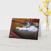 Chat couché / Carte de voeux d'anniversaire (Fleur jaune)