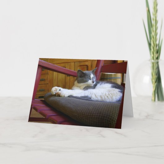 Chat couché / Carte de voeux d'anniversaire (Devant)
