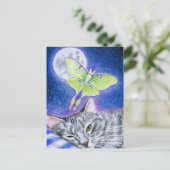 Chat couché mignon avec Luna Moth, Carte postale L (Debout devant)