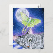 Chat couché mignon avec Luna Moth, Carte postale L (Devant / Derrière)