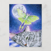 Chat couché mignon avec Luna Moth, Carte postale L (Devant)
