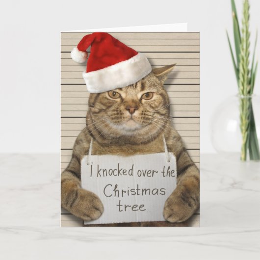 Chat coupable dans le chapeau du Père Noël Carte d (Devant)