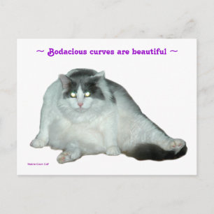 Chat, Courbes Bodacieuses sont de belles cartes po