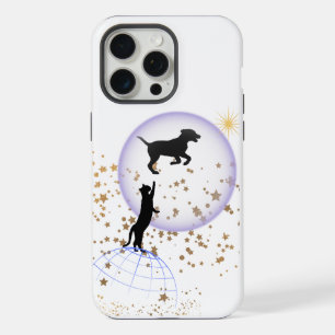 Chat curieux et chien courant