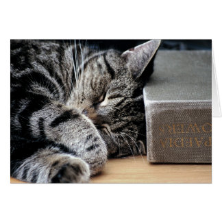 Chat Curled Up avec une bonne carte de livre