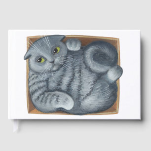 Chat dans la boîte