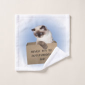 Chat dans la boîte (Gant de toilette)