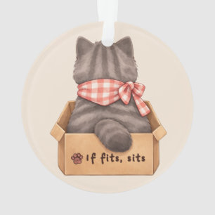 Chat dans la boîte