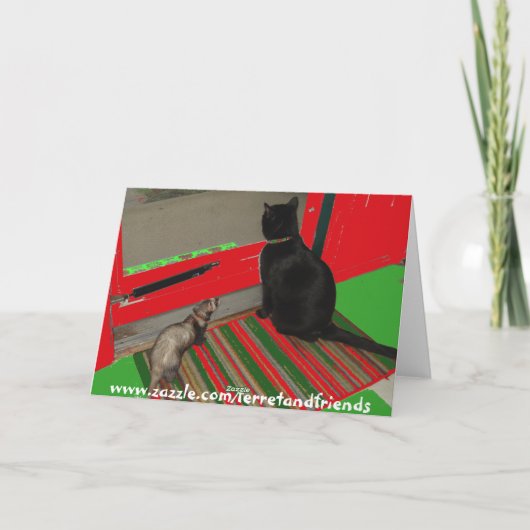 Chat dans la carte de Noël de boîte (Dos)