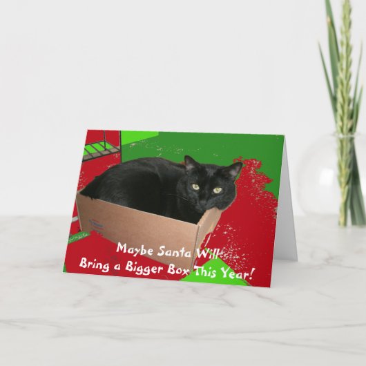 Chat dans la carte de Noël de boîte (Devant)