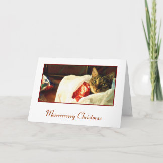 Chat dans la carte de Noël de sac