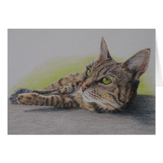 Chat dans la carte verte