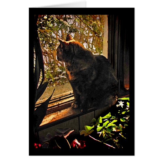 Chat dans la carte vierge de la fenêtre (Devant)