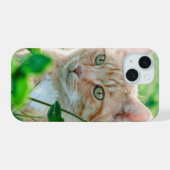 Chat dans la nature (Verso Horizontal)
