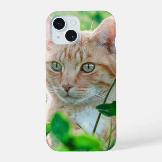 Chat dans la nature (Verso)