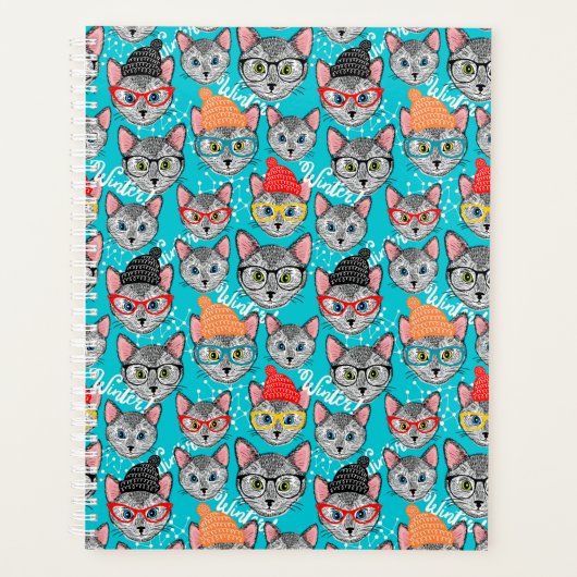 Chat dans le casquette (Devant)