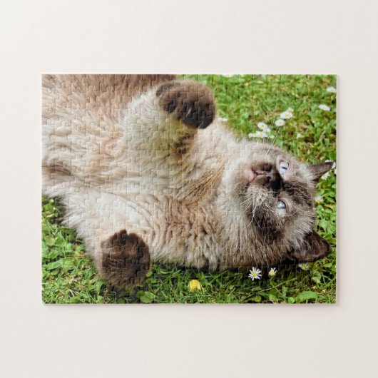 Chat dans le Puzzle du jardin (Horizontal)