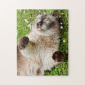 Chat dans le Puzzle du jardin (Vertical)