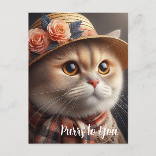 Chat dans un chapeau de paille Carte postale pour (Devant)