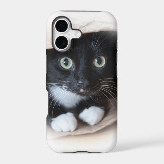 Chat dans un sac