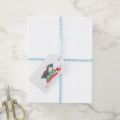 Chat dans une boîte étiquettes cadeaux de Noël (With Twine)