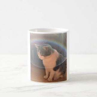 Chat dans une bulle solaire Mug classique, 325 ml