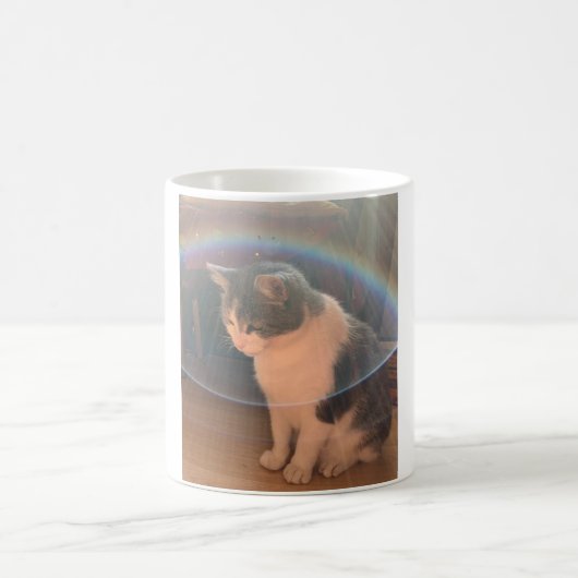 Chat dans une bulle solaire Mug classique, 325 ml (Centre)