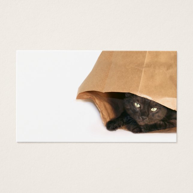 Chat dans une carte de profil de sac (Devant)