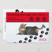 Chat Dashing Through the Snow - Carte de Noël 3x5 (Devant / Derrière)