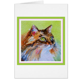 Chat de calicot