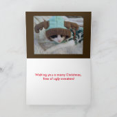 chat de calicot drôle dans la carte de Chrismas de (Intérieur)