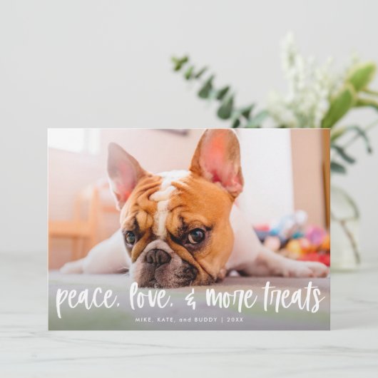 Chat de chien mignon Funny Traite Carte photo de v (Debout devant)