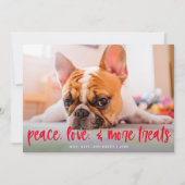 Chat de chien mignon Funny Traite Carte photo de v (Devant)