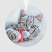 Chat de compagnie a un joyeux petit Noël mignon ro (dos)