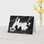 Chat de cri Carte d'anniversaire retardée (Fleur jaune)