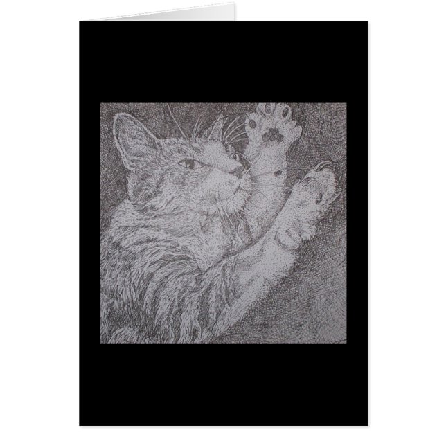 chat de danse (Devant)