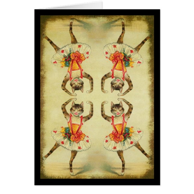 Chat de danse (Devant)