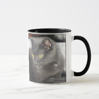 Chat de fureteurs dans la tasse profonde de pensée