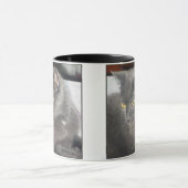 Chat de fureteurs dans la tasse profonde de pensée (Centre)