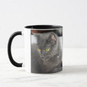 Chat de fureteurs dans la tasse profonde de pensée (Gauche)