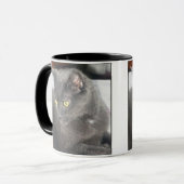 Chat de fureteurs dans la tasse profonde de pensée (Devant gauche)