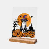 Chat de Halloween Sorcière Citrouille Vintage Épou (Angle)