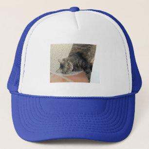 Chat de Hobie, casquette