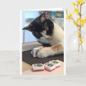 Chat de joker de carte pour notes (Fleur jaune)