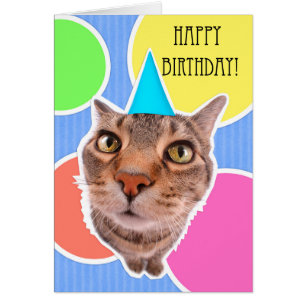 Chat de Kitty de joyeux anniversaire