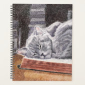 Chat de librairie (Devant)